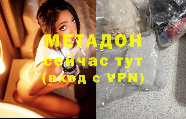 стаф Алексин