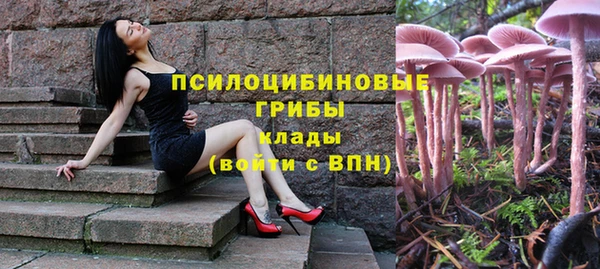 мет Армянск