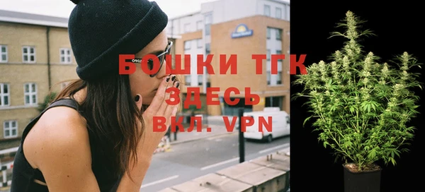 амф Аркадак